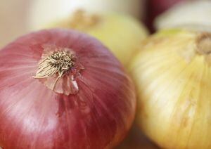 onions.jpg