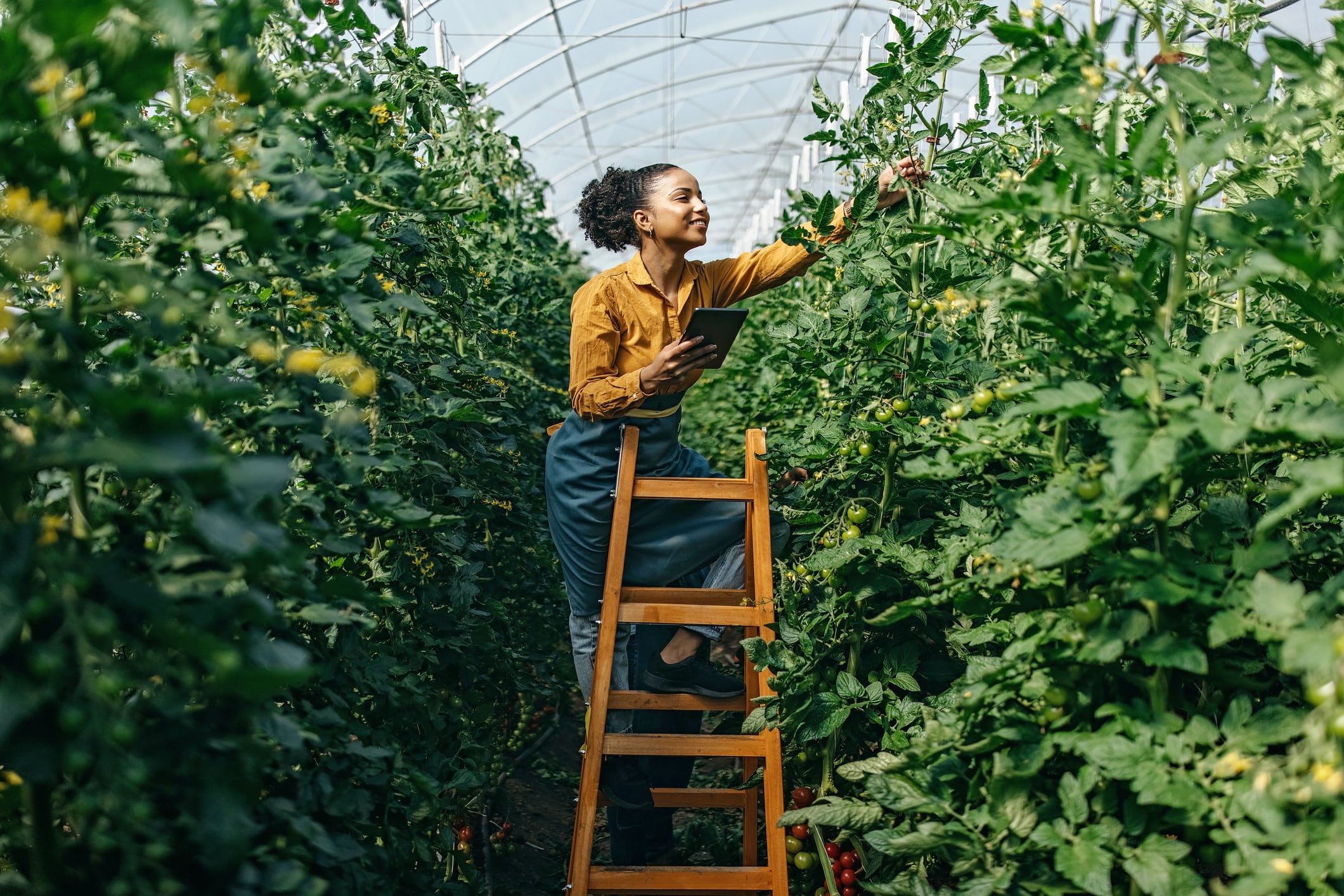 The biggest food tech trends for 2025 and beyond