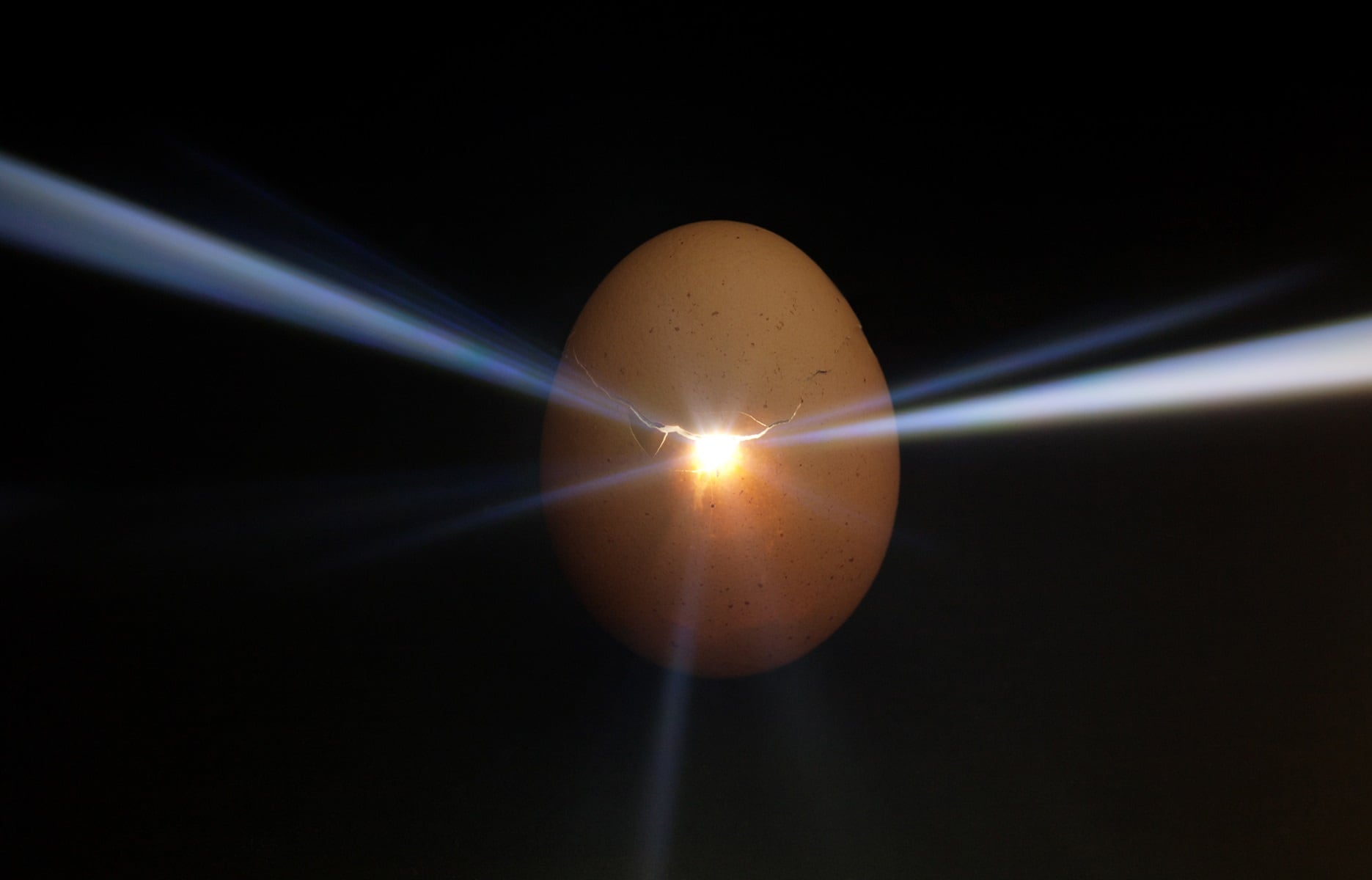 Plant-based egg market to hit $834m by 2035 amid ethical eating boom