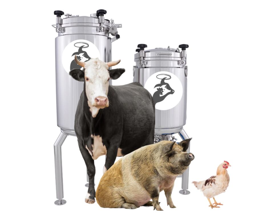 cows-innocent-meat.png