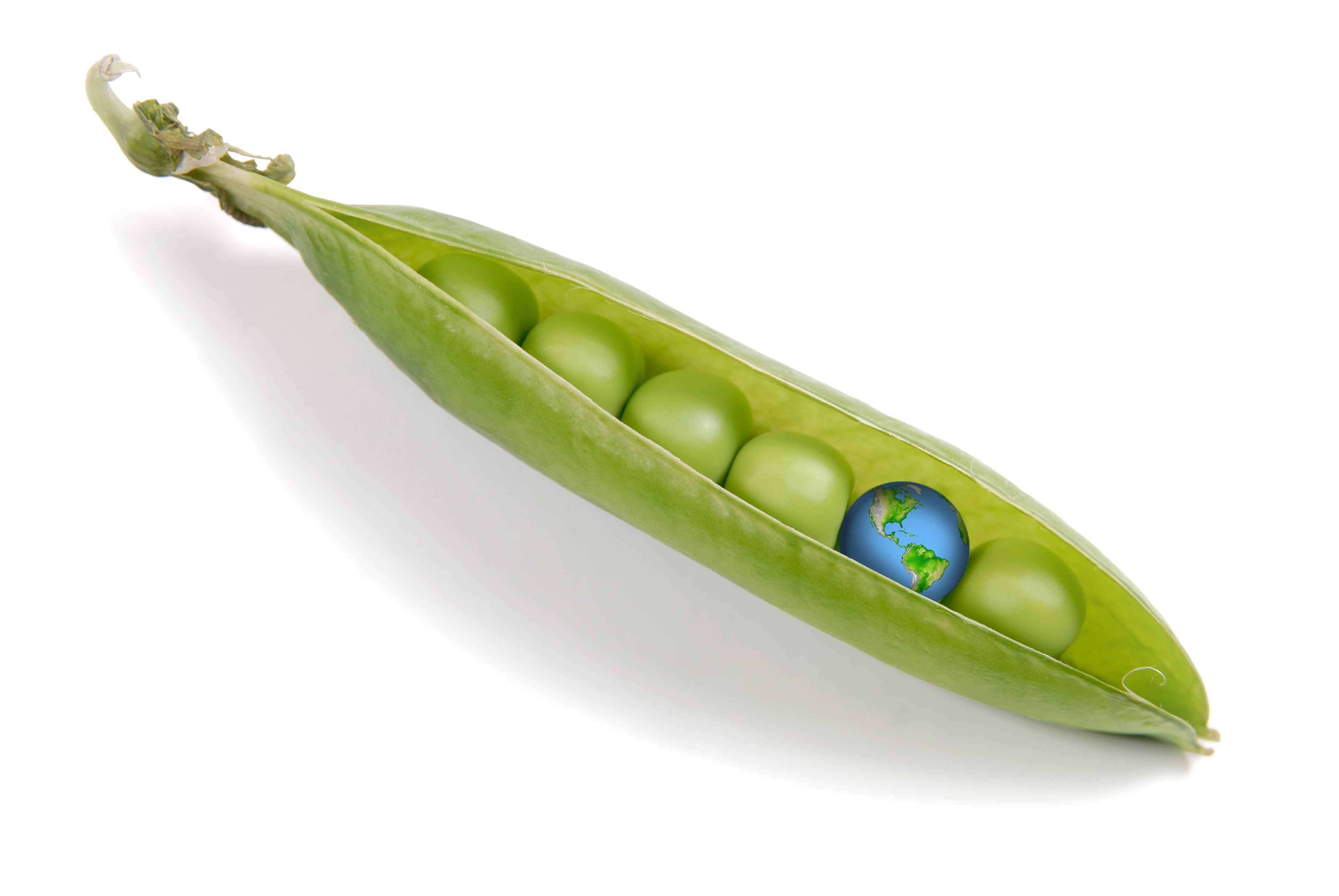 Food commodity trends: What’s up and what’s down in crops, meat and dairy? 
