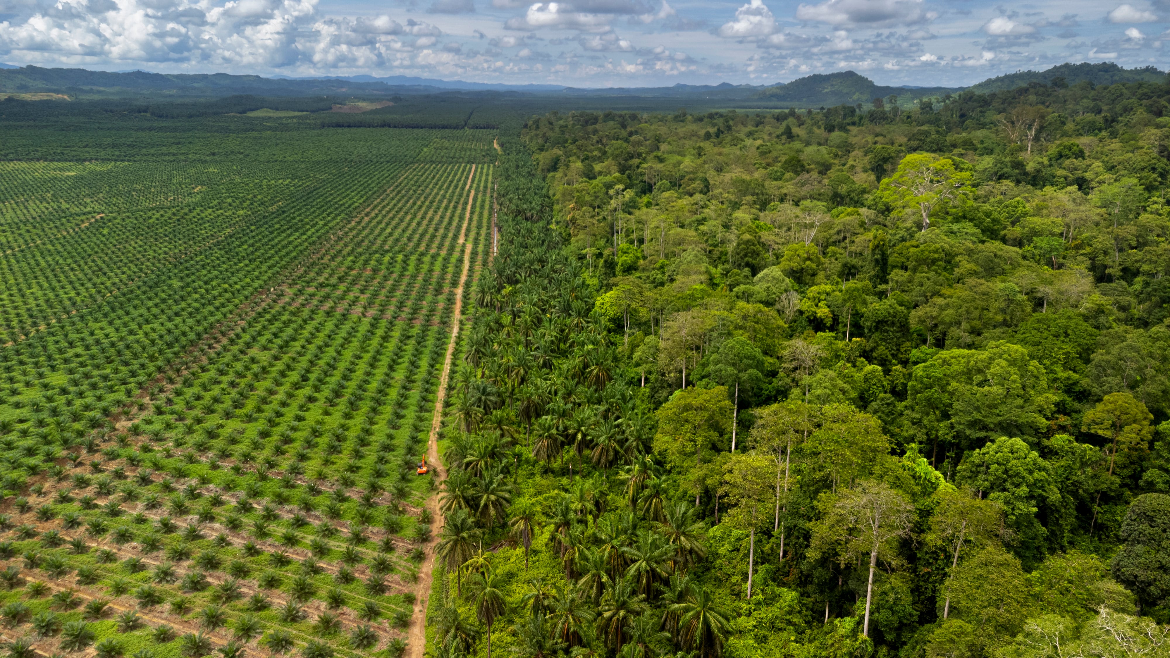 5 innovations desperately needed for EUDR compliance