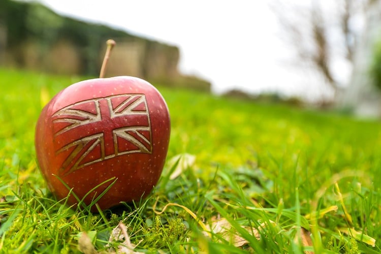Post-Brexit food labelling: What issues and opportunities face UK operators?
