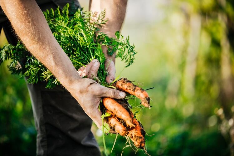 Sustainability focus shifts from future goals to real-world changes