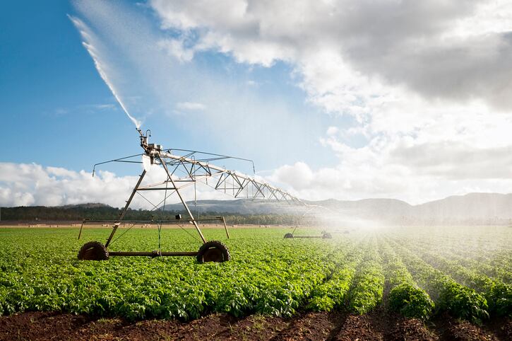 irrigation-potato-georgeclerk.jpg