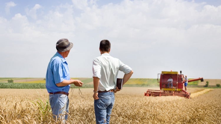 UK apprenticeship schemes launched for farmers and growers