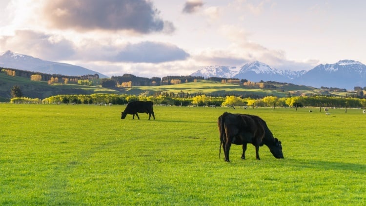Land conversion study shows negative economic impact