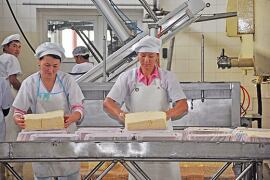 4th-IFC-International-Food-Safety-Forum.png