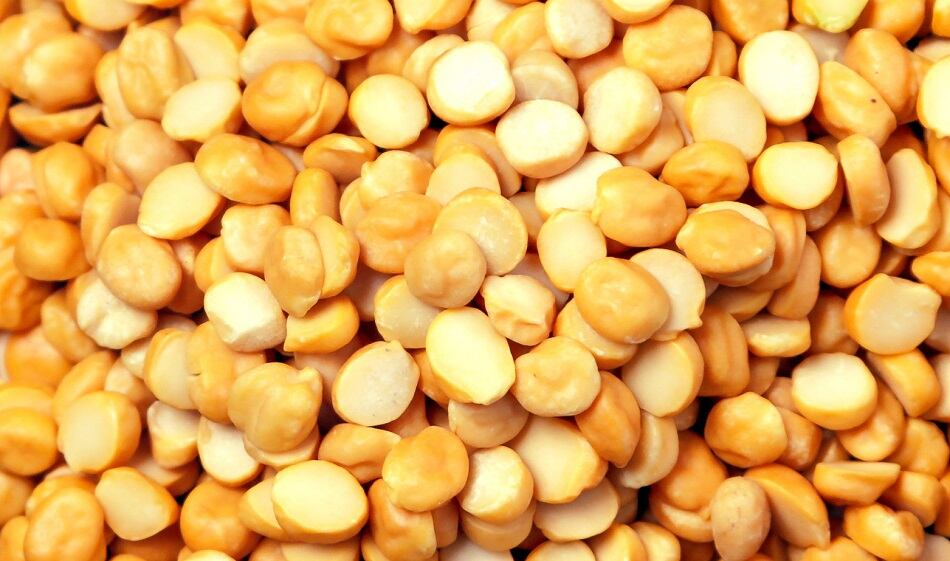 Merit-Functional-Foods-secures-FDA-GRAS-status-for-entire-plant-proteins-portfolio.jpg