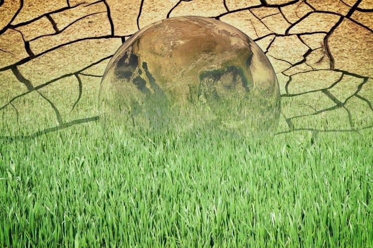 Leveraging scale to decarbonise the economy: Amazon-backed Climate Pledge attracts more than 100 signatories