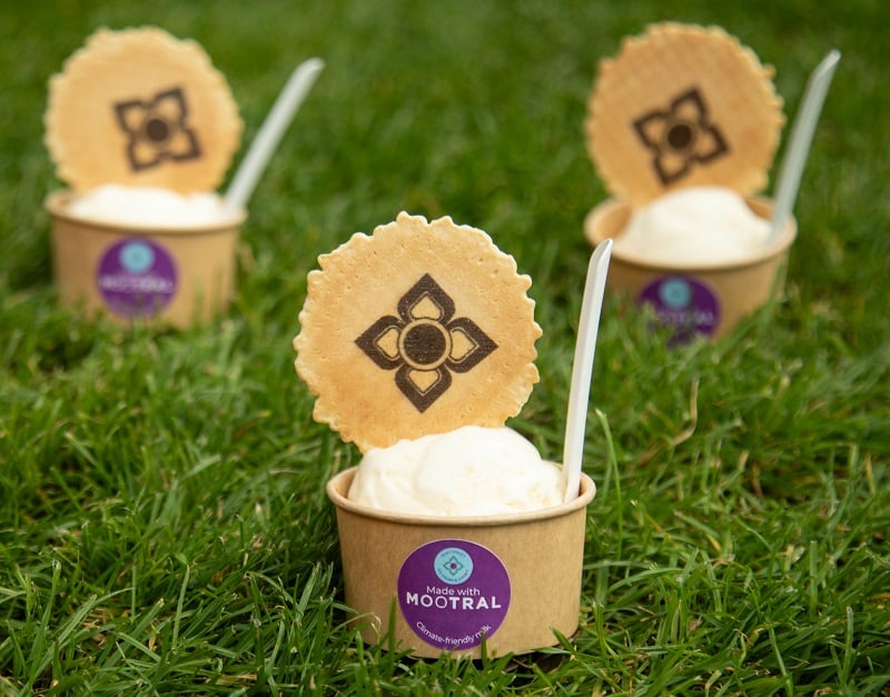 ‘World’s first climate-friendly ice cream’ made with milk from cows eating methane-reducing ruminant feed