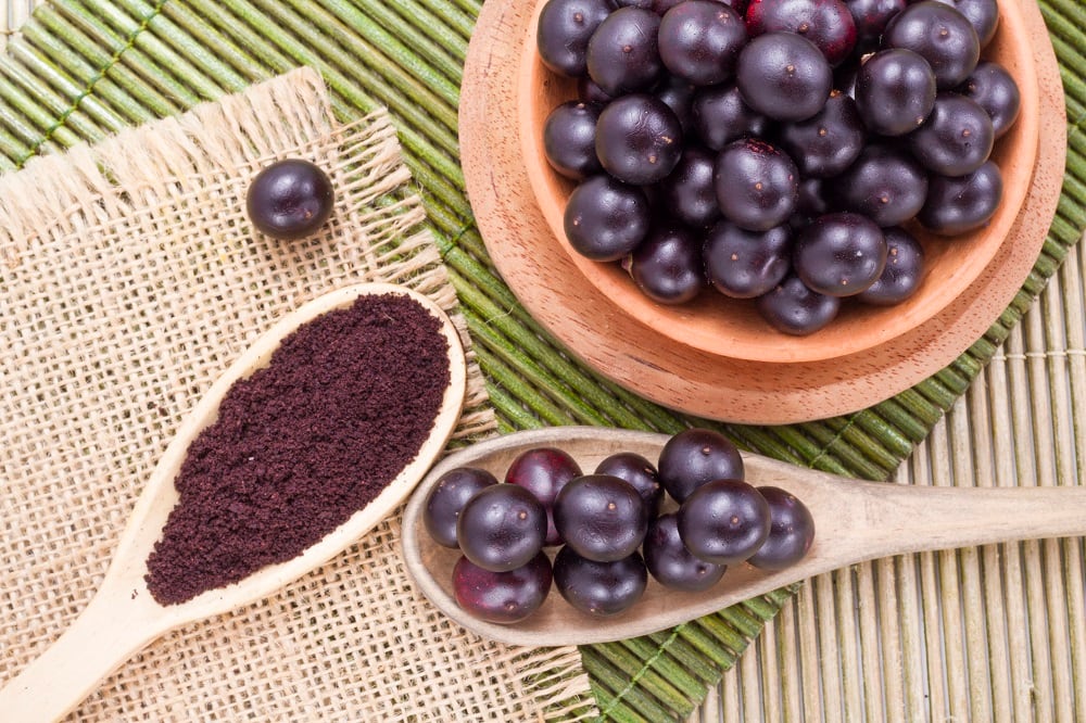 SouthAm launches freeze-dried Maqui and Acai powders