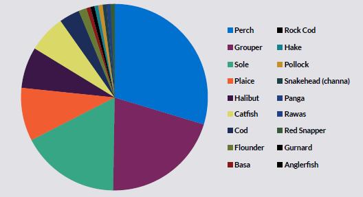 pangasius-oceana.png