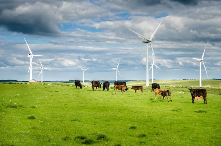 International meat bodies urge IPCC to re-evaluate emissions measurement