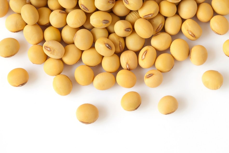 Cargill acquires soybean processing facility and refinery