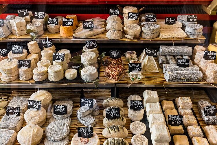 cheese-AlexKozlov.jpg