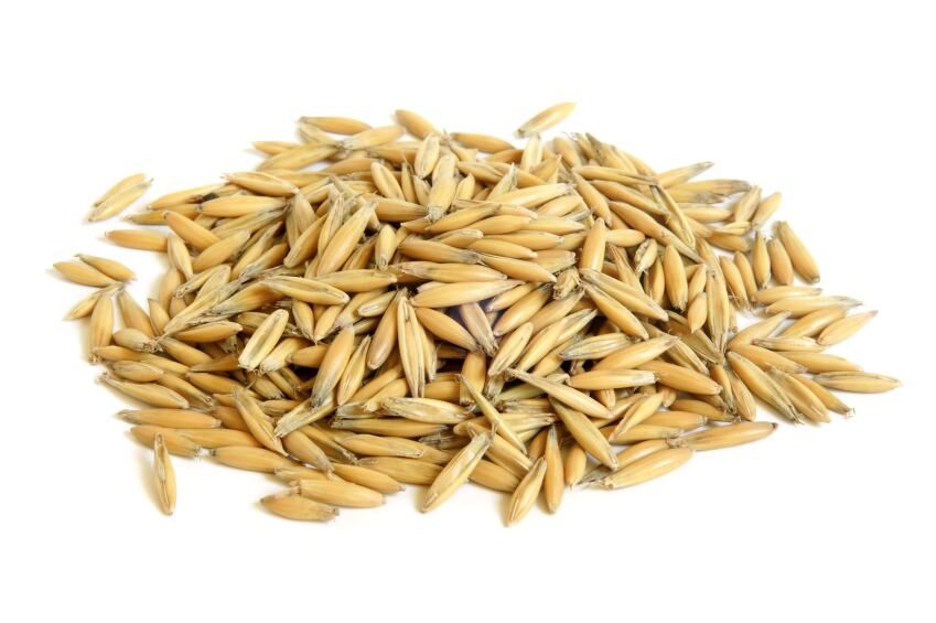 Oats_grains_groats.jpg