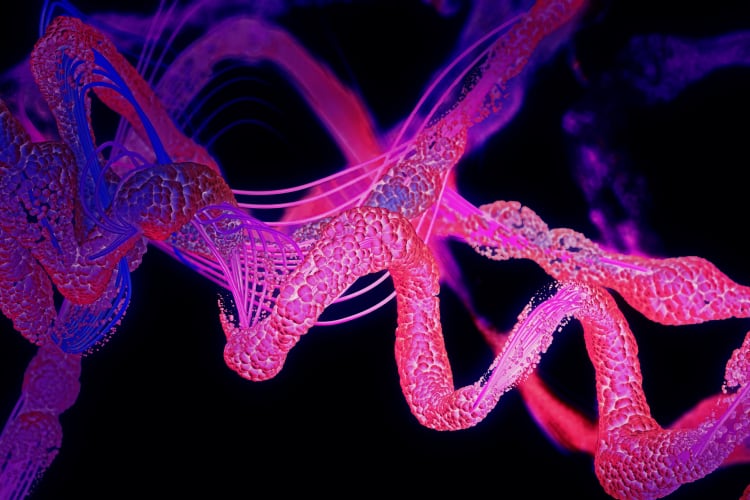 Industry insights from NIZO: The latest innovation maintaining protein functionality