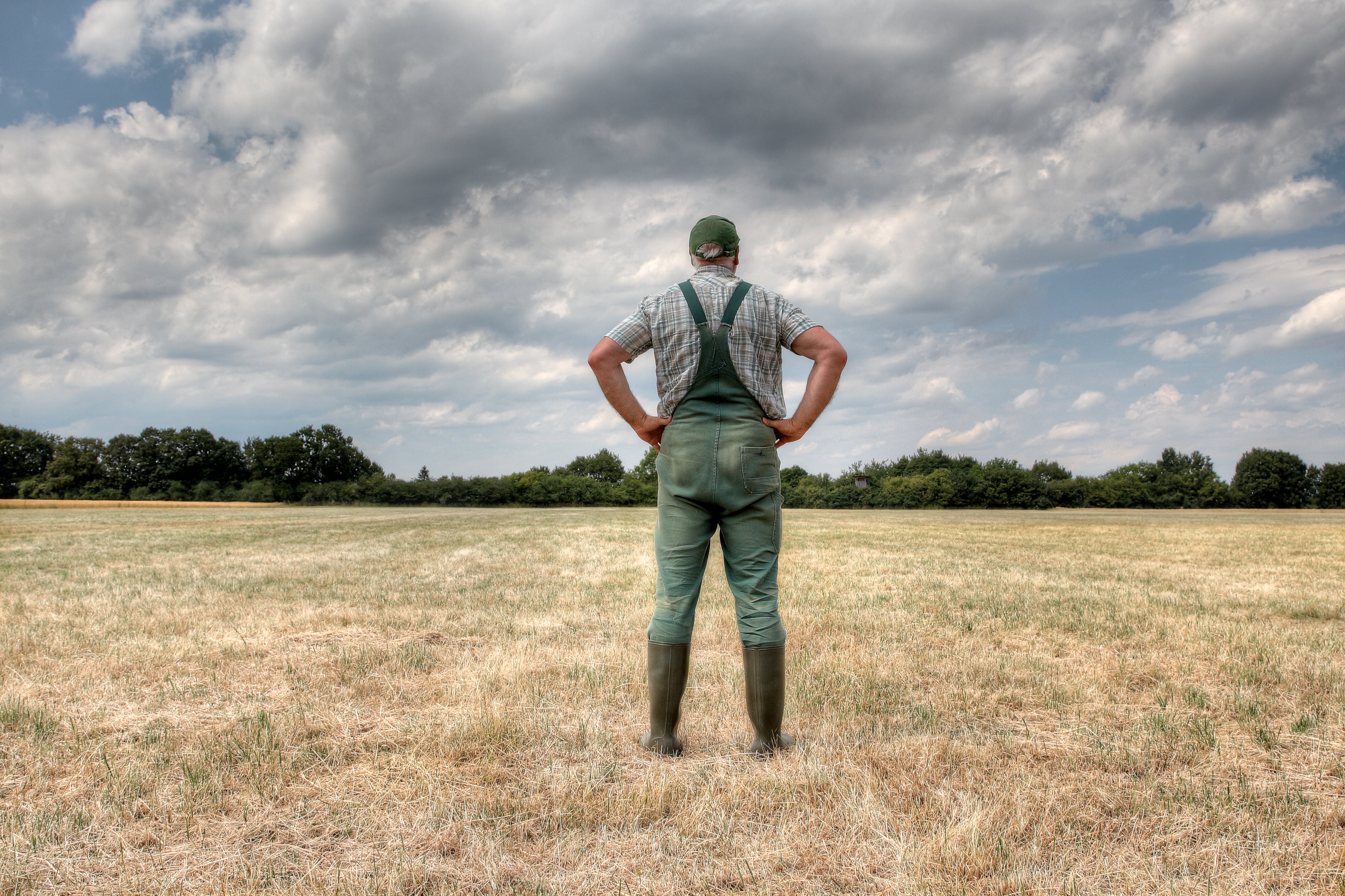 Will the EU use ‘mirror clauses’ to ban US produce? 