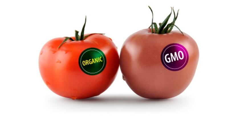 2023 healthy food trends: Clean label and positive nutrition claims crucial for consumers 