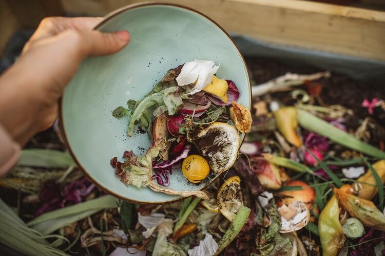 Consumers food waste habits identified as Warriors, Strugglers and Slackers
