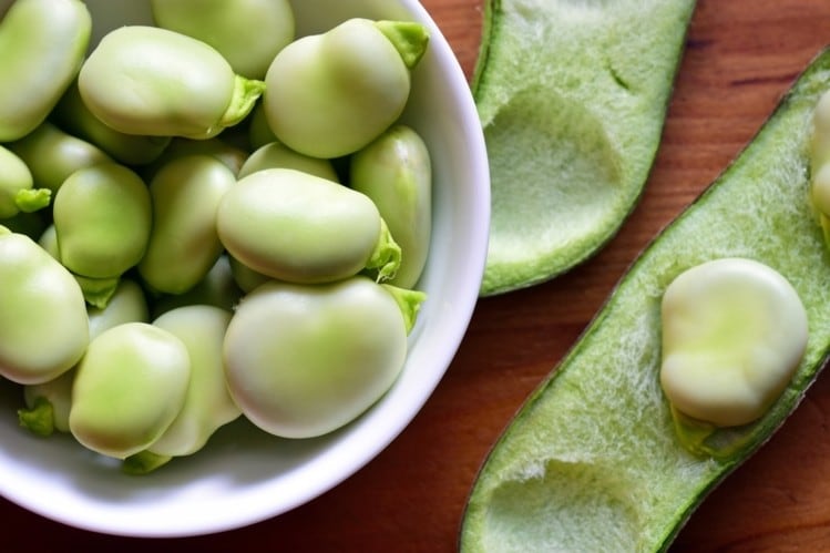 'Fava will become one of the frontrunners in alternative proteins': Meelunie’s ‘breakthrough’ process delivers neutral-tasting fava protein