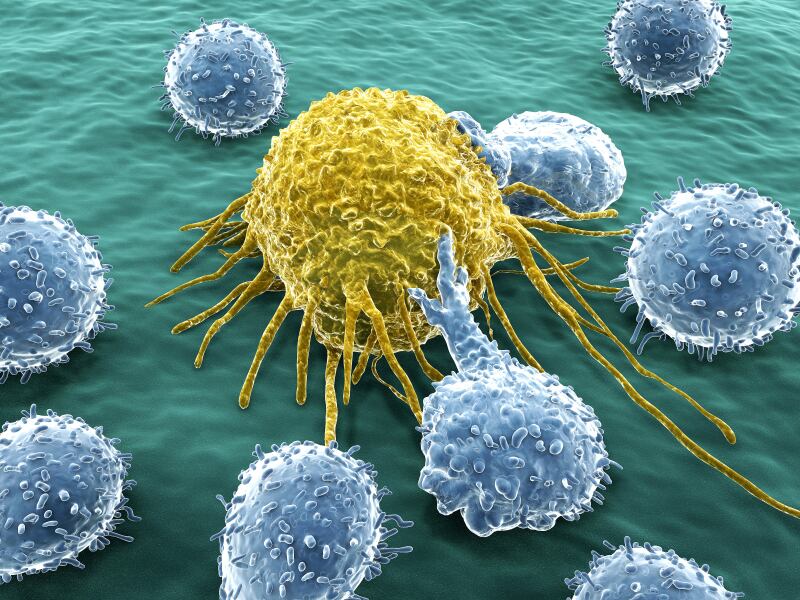 bacteria_iStock_.jpg
