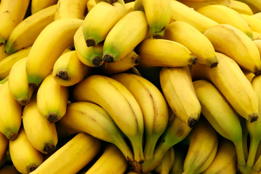 A race to save bananas from extinction: Wageningen and KeyGene join fight against Panama disease