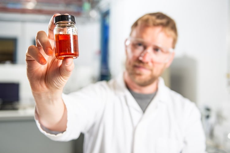 Palm-oil-alternative-made-from-fermented-yeast-prepares-for-2023-launch-in-Europe.jpg
