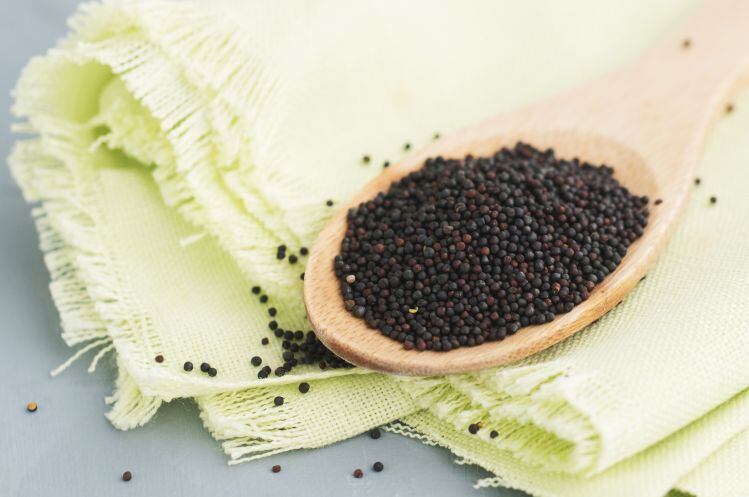 How-are-companies-using-canola-protein-In-conversation-with-Merit-Functional-Foods.jpg