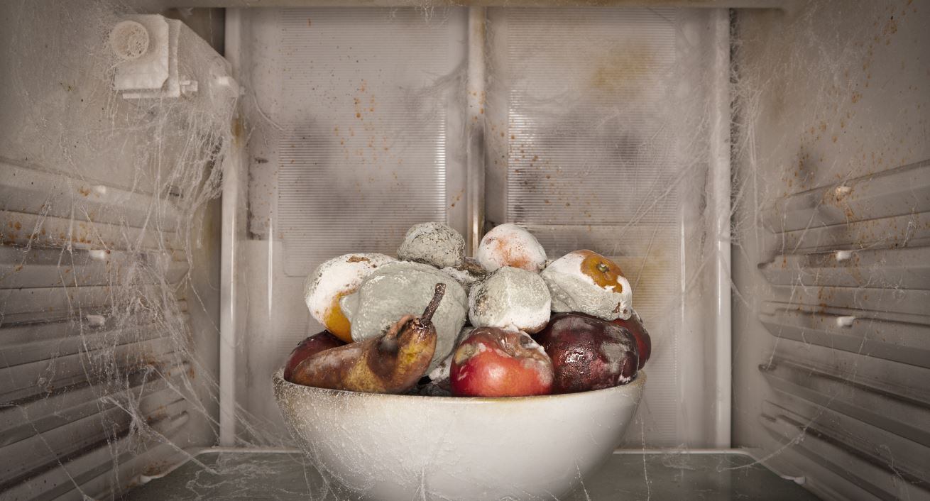 European countries topping the food waste charts, but what’s the solution? 
