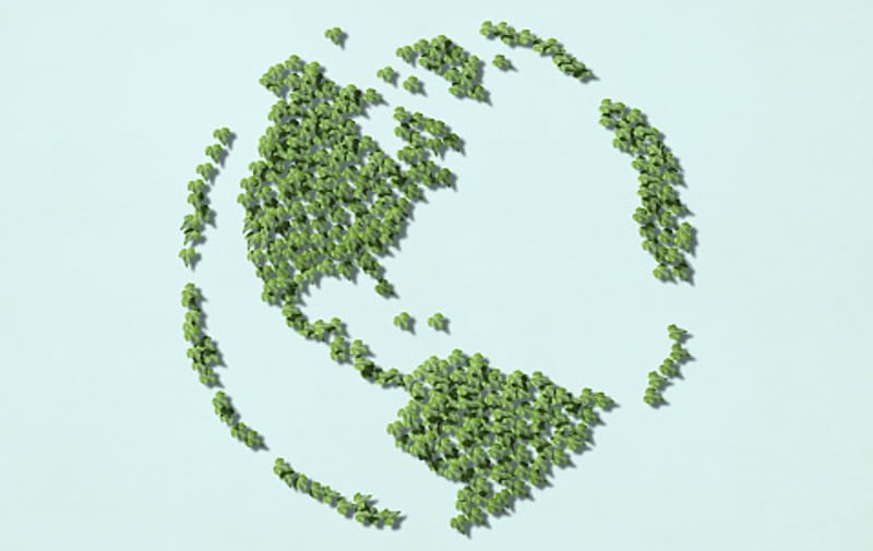 Export expertise: Japan reveals new guidelines to help food firms maximise overseas growth