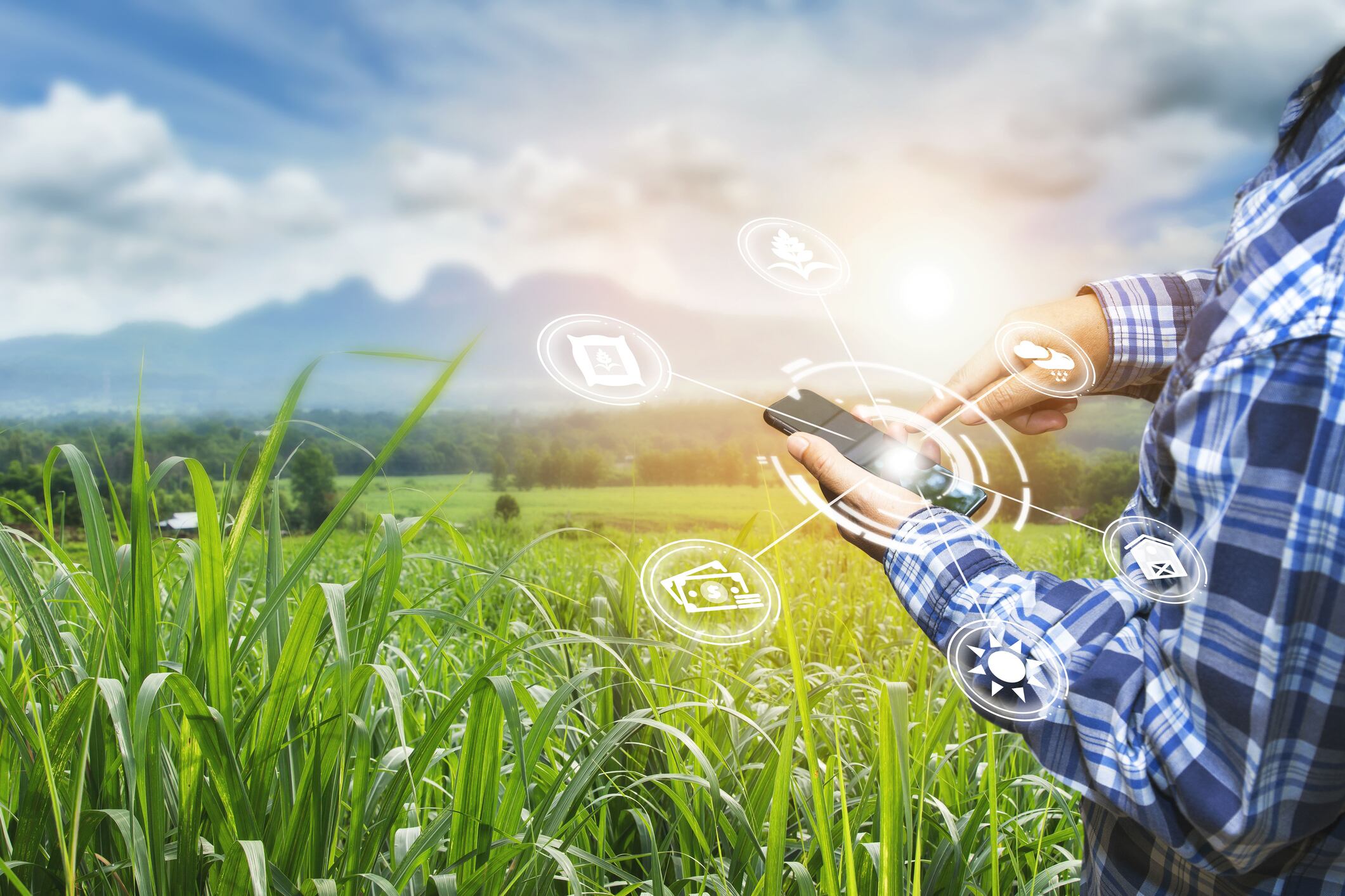 Nutrition and Agtech investments in Brazil focus on alternative proteins