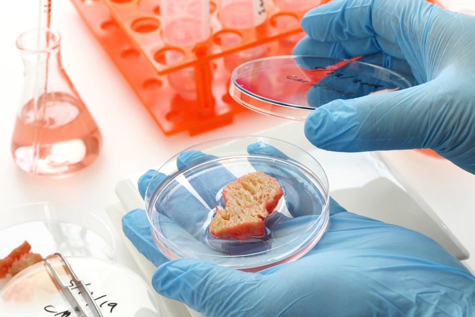 Survey: A rising generation of food consumers embrace new food technologies