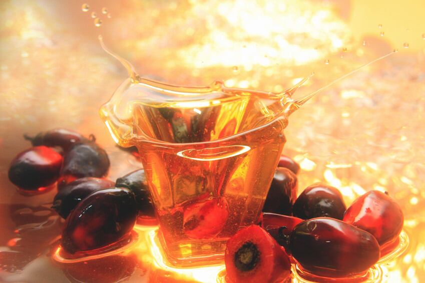 palm-oil-Copyright-taffpix.jpg