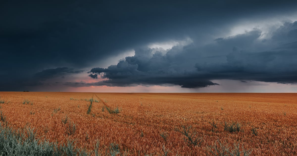 Big Food falling short on regen ag commitments