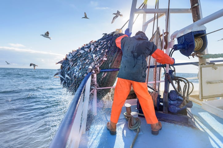 Opportunities for ‘climate-smart fisheries’ identified