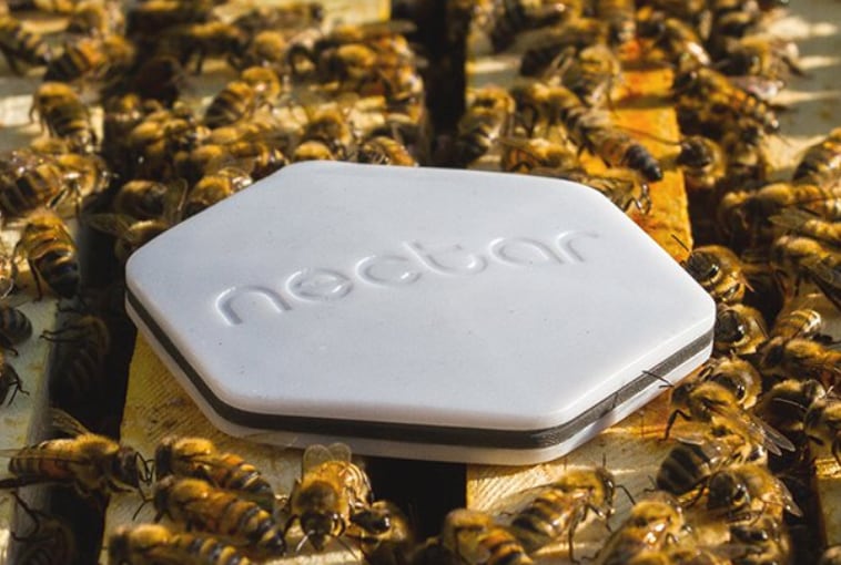 nectar.png