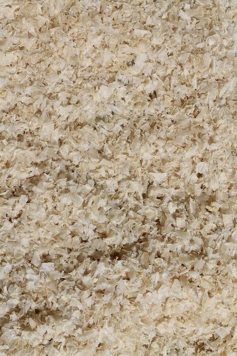 Dried-chips.jpg