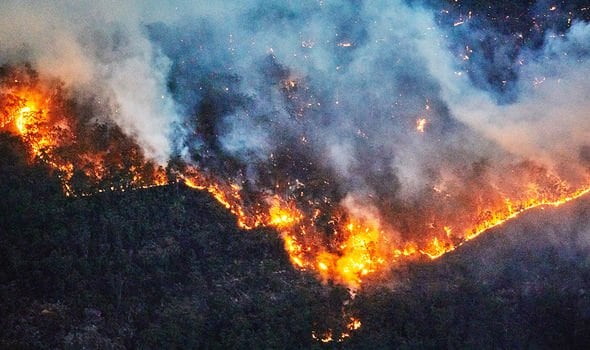 Australian-bushfires-Food-safety-and-produce-shortages-additional-concerns-as-blazes-rage.jpg