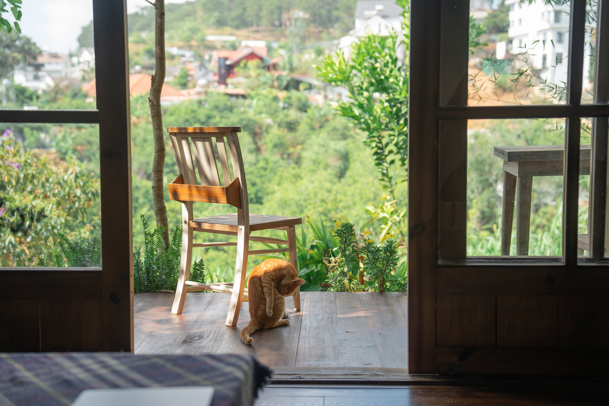 A tranquil scene of cat grooming on a porch complemented by a chair and a beautiful nature view
