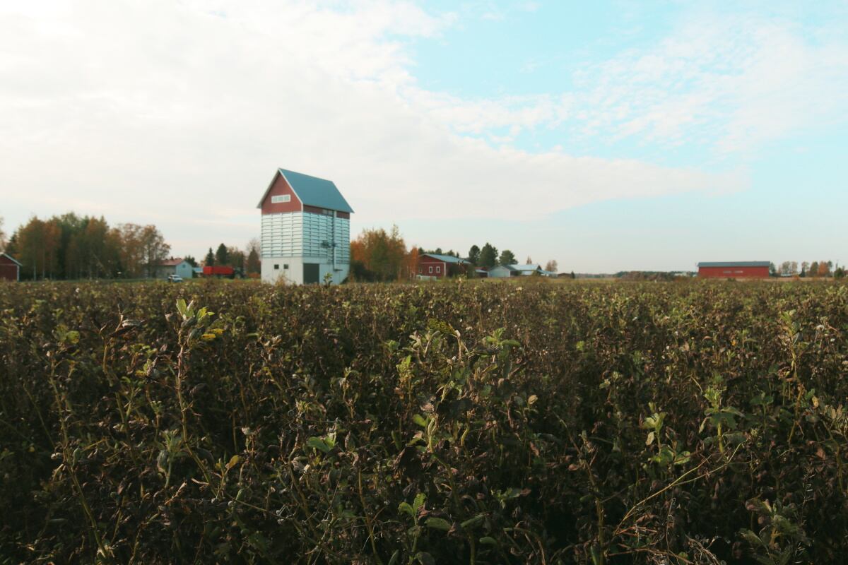 Landscape_from_the_region_where_we_source_our_beans-1.jpg