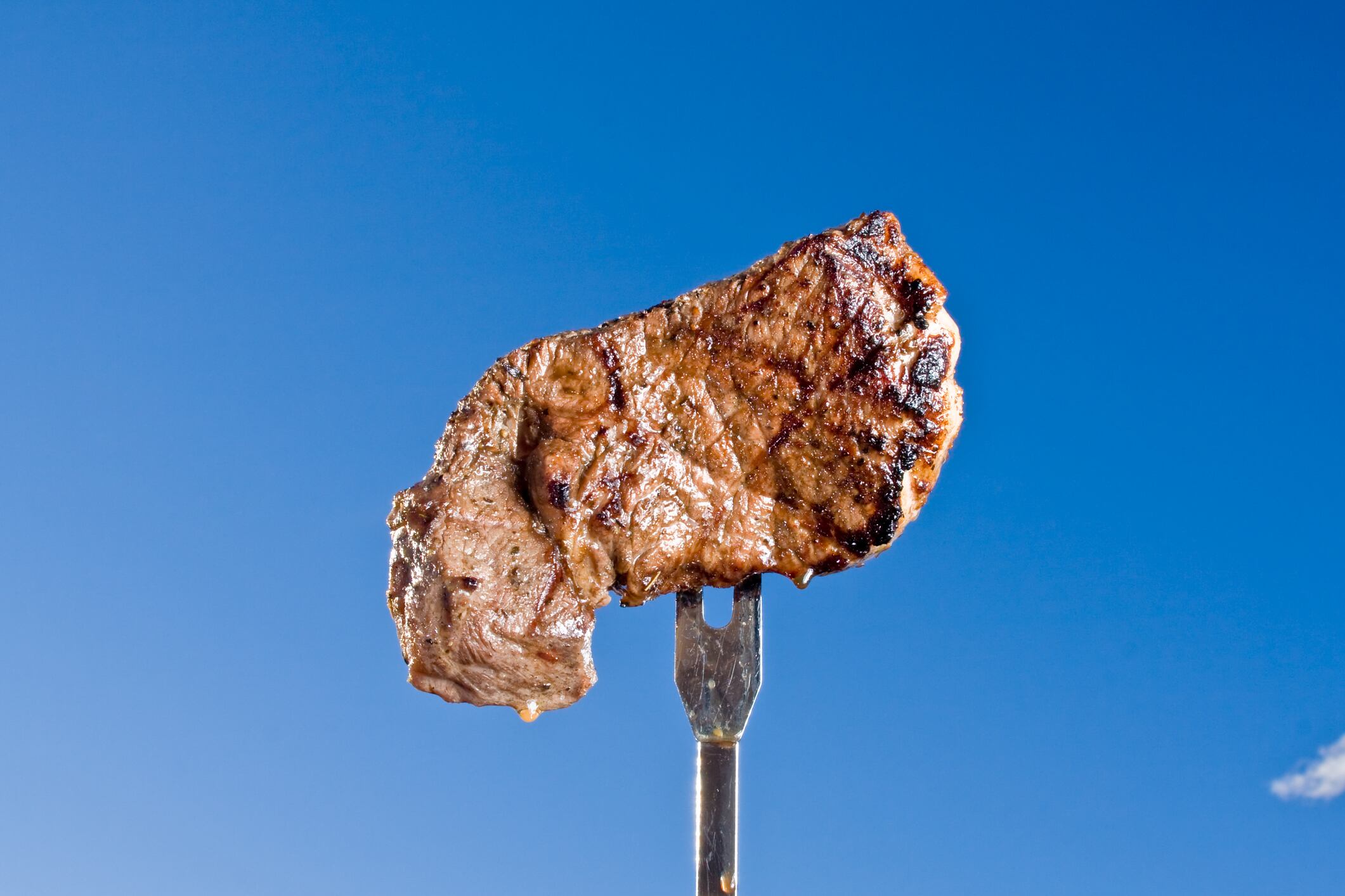 Alternative protein funding diverges as investors prioritize scale and bankability