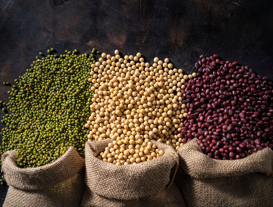 ADM makes $300m investment to expand alternative protein production capabilities