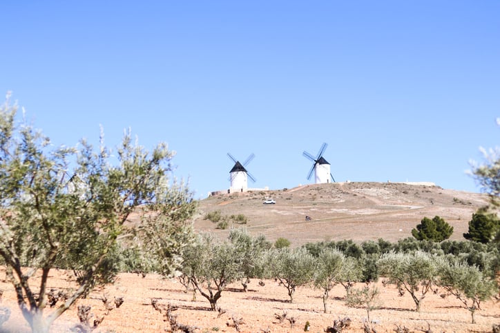 Vallegarcia-wines-are-produced-in-Ciudad-Real-Spain-Belen-Montilla.jpg