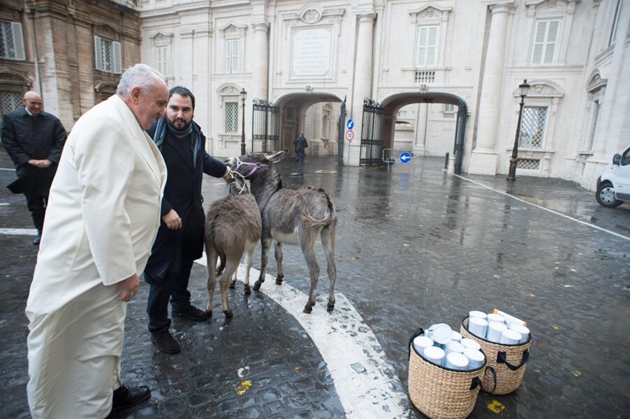 pope-2.png
