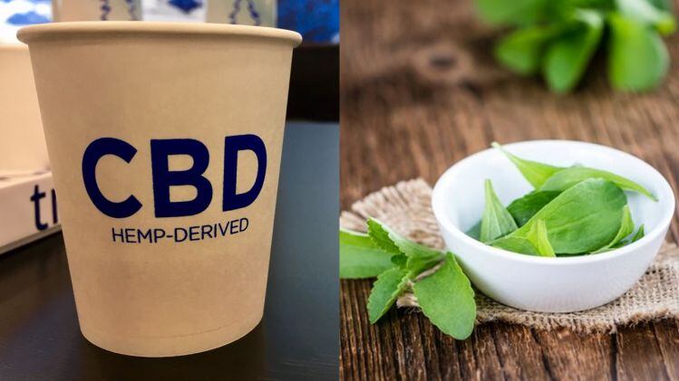 In conversation with Sweegen: Formulating with stevia, hemp extracts and CBD