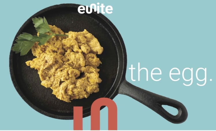 Noblegen unveils vegan whole egg replacement featuring protein from ‘ancient micro-organism’ Euglena gracilis