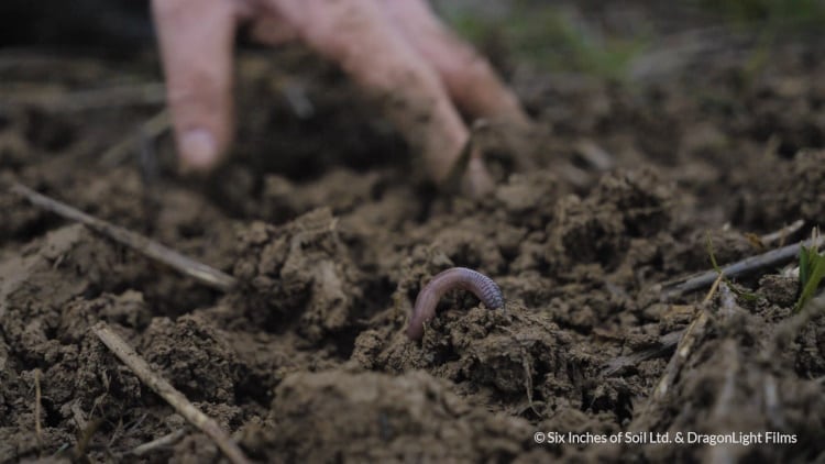 Six Inches is generating a real buzz among the next gen farmers