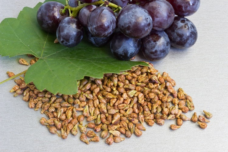 grape-seeds-Dimijana.jpg